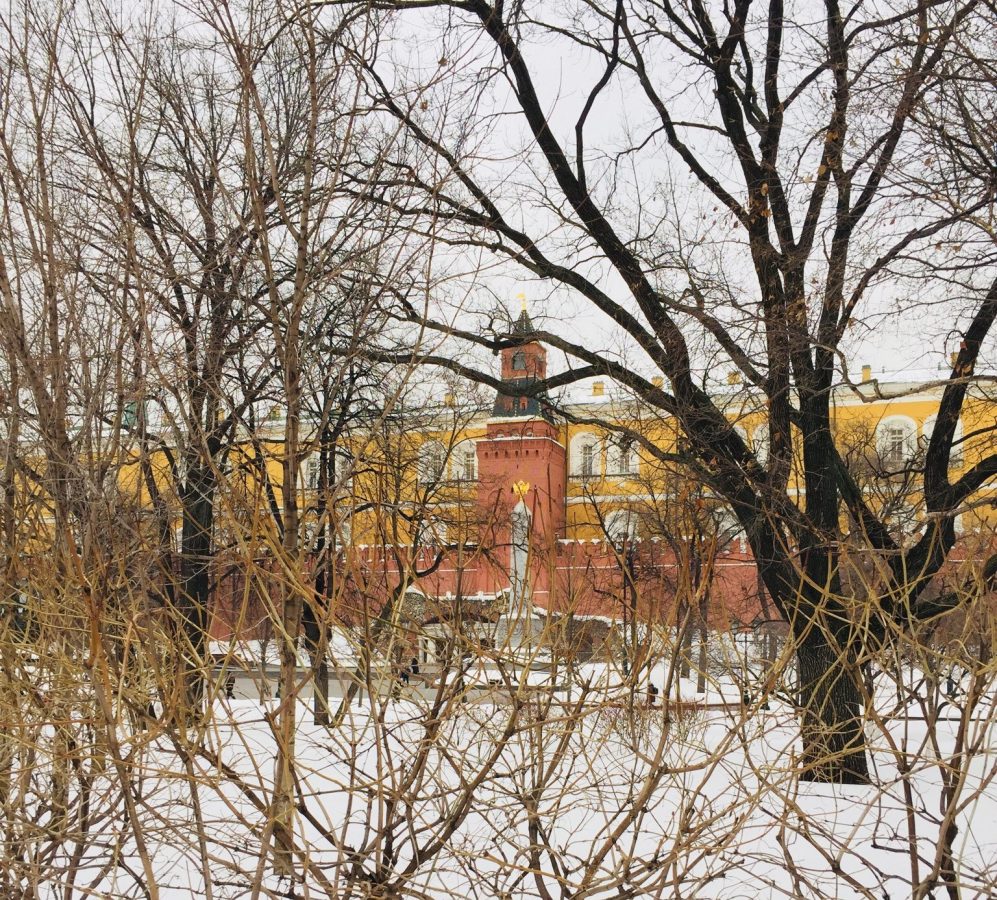 מבנים צבעוניים במוסקבה על רקע שלג לבן צחור מבין ענפי צמחים נטולי עלים